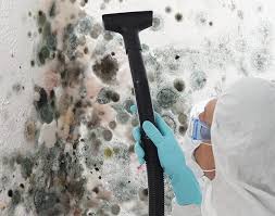 Best Mold Documentation for Insurance Claims in Maryland City, MD